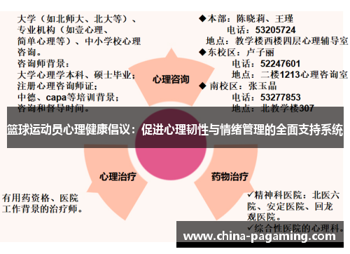 篮球运动员心理健康倡议：促进心理韧性与情绪管理的全面支持系统