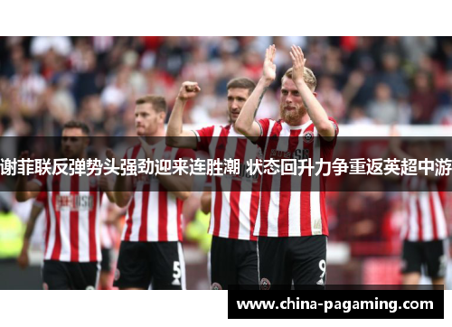 谢菲联反弹势头强劲迎来连胜潮 状态回升力争重返英超中游